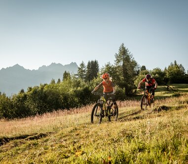 women's cushioned bike shorts